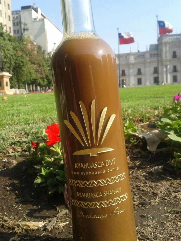 Ayahuasca for Sale