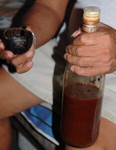 Ayahuasca for Sale